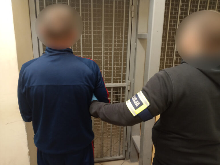 56-latek spał na poboczu po próbie jazdy pod wpływem alkoholu w Olsztynie - Paragraf