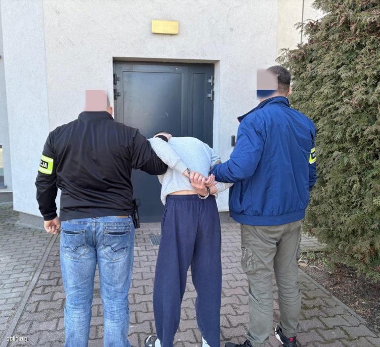 Brutalny atak maczetą w Grodzisku Wielkopolskim – Policja zatrzymała sprawcę - Aktualności