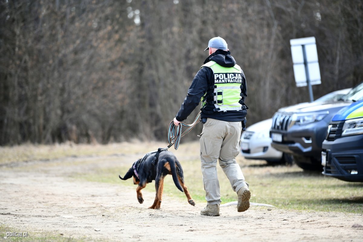 Policja: Eksperci szkolą w Białymstoku z wykorzystaniem SIRON i psów tropiących - Paragraf