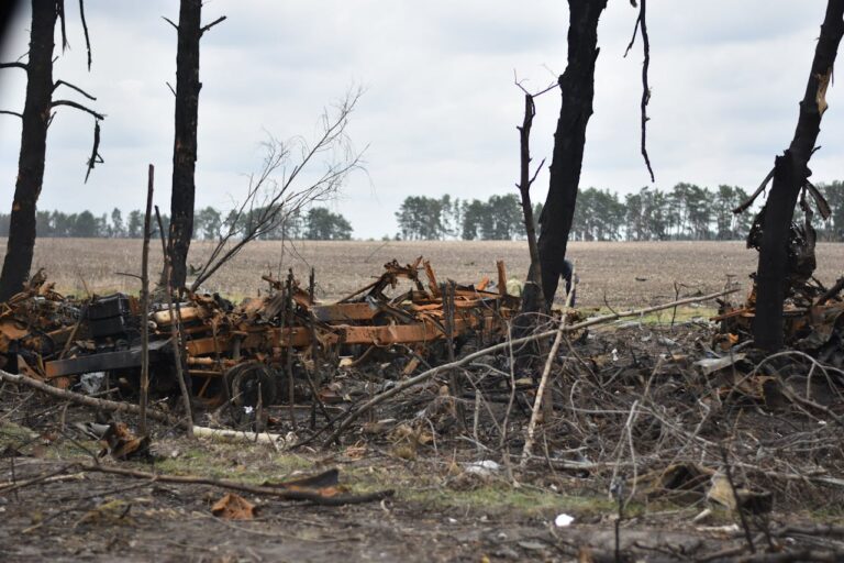 Areszt tymczasowy dla agresywnego sąsiada z powodu podpalenia tuj - Paragraf