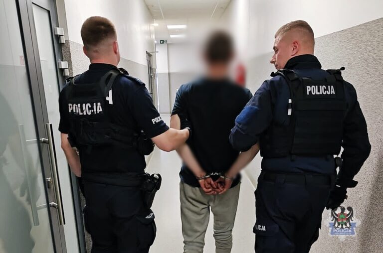 23-latek aresztowany za kradzież lawety i kolizje w Wałbrzychu - Paragraf