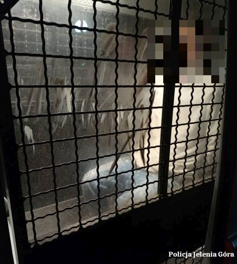 Jelenia Góra: 40-latek odpowie przed sądem za agresję domową - Paragraf