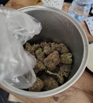 Kłodzcy policjanci zabezpieczyli blisko 4 kg narkotyków - Paragraf