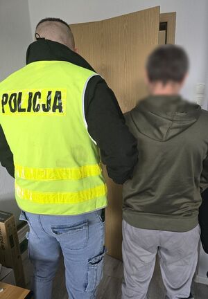 Kłodzcy policjanci zatrzymali podejrzanego po 13 latach od włamania - Paragraf