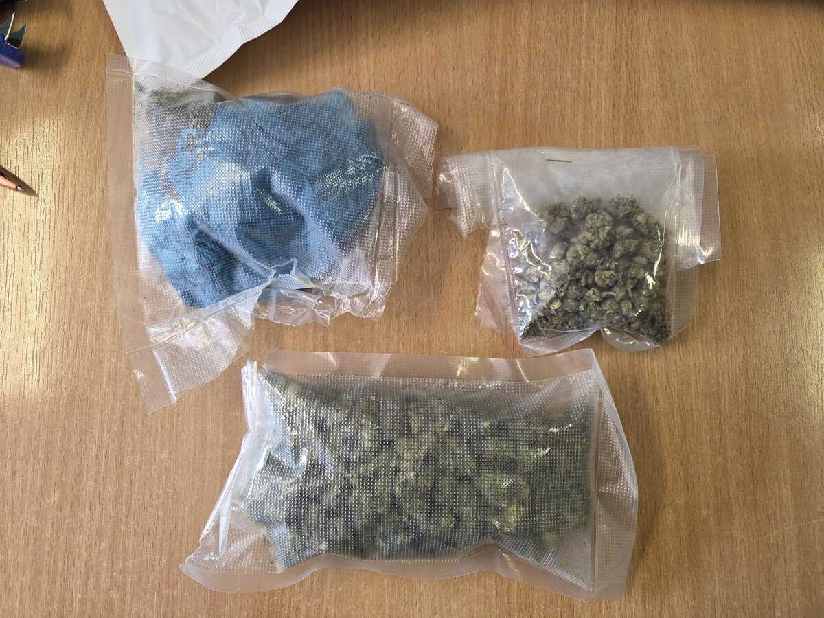 Marihuana zabezpieczona przez dzielnicowych w gminie Prostki - Paragraf