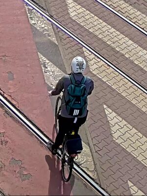 Policja Wrocław: Poszukuje świadków potrącenia kobiety przez rowerzystę - Paragraf