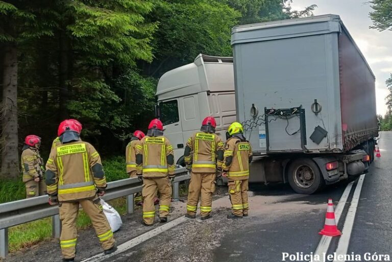Jeleniogórscy policjanci zatrzymali kierowców łamiących zakazy i prowadzących po alkoholu - Drogówka