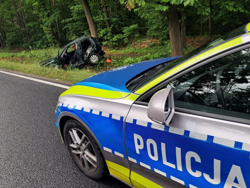 Kierowca stracił kontrolę i uderzył w drzewo w powiecie zgorzeleckim - Drogówka
