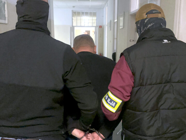 Policja rozbiła grupę kradnącą samochody w powiecie wołomińskim - Kryminalne