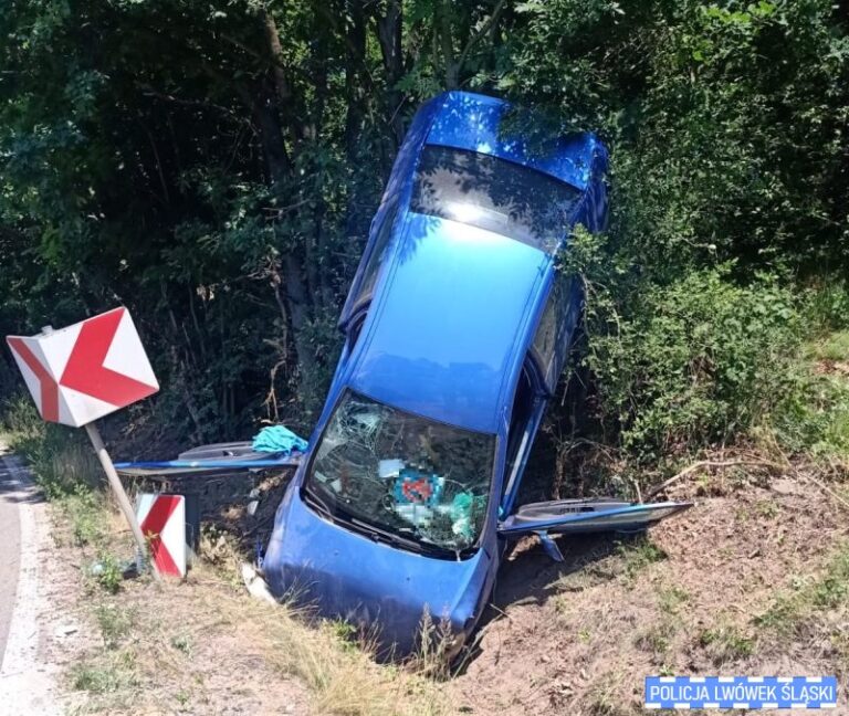 Pijany 79-latek wjechał Peugeotem w drzewo w powiecie lwóweckim - Wypadki i Kolizje
