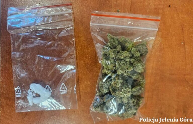 Policja w Jeleniej Górze przejęła 160 porcji narkotyków - Kryminalne