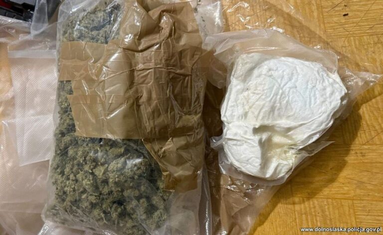 Zabrali 1,2 kg narkotyków z lodówki w powiecie kłodzkim - Drogówka