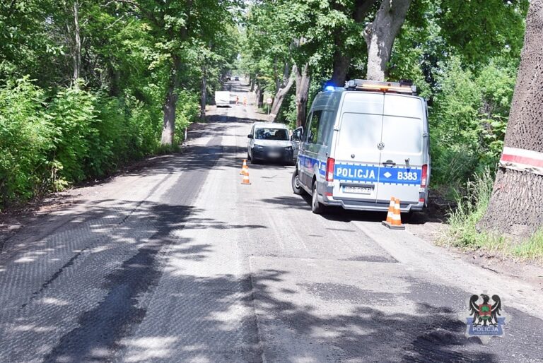 Rowerzysta przewrócił się na drodze - apel policji w Wałbrzychu - Wypadki i Kolizje