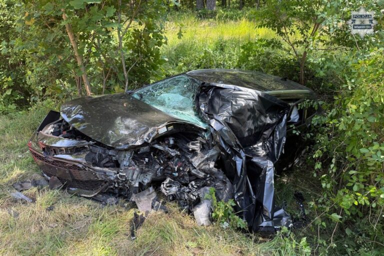 Zginęły 2 osoby w zderzeniu Audi i Toyoty pod Tarnowem - Wypadki i Kolizje