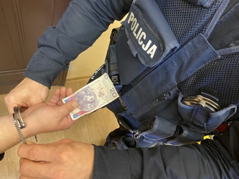 Kierowca próbował przekupić policjantów w Bielsku-Białej - Kryminalne