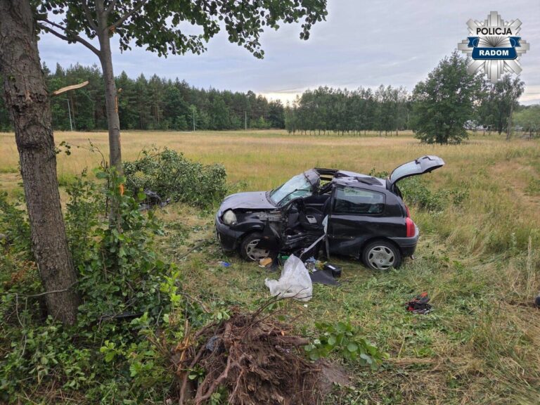 63-letni kierowca uderzył w drzewo w gminie Iłża - Wypadki i Kolizje