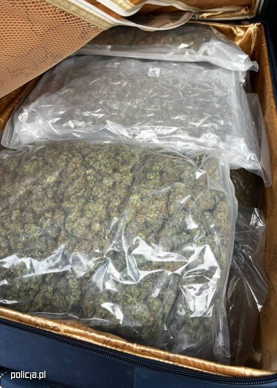 Przechwycili 8 kg narkotyków. Dwóm grozi 12 lat więzienia - Kryminalne