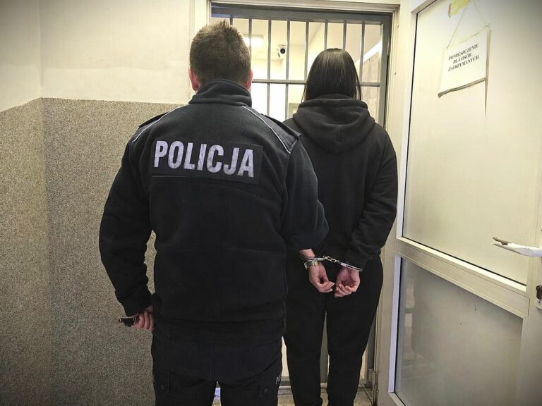 44-latka ukradła torebkę i nielegalnie pobierała prąd - Kradzieże