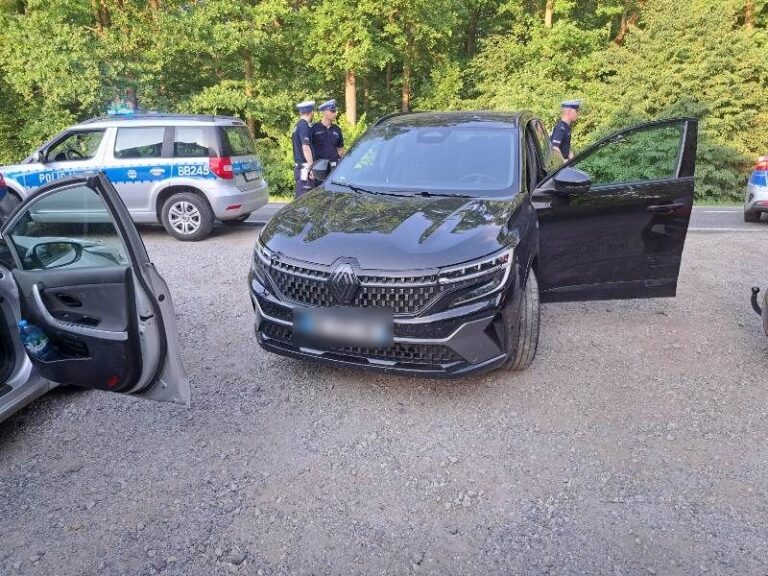 Ukradł auto we Francji, trafił do aresztu w Miliczu - Kradzieże