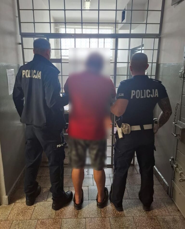 Pijany kierowca ciężarówki wpadł w rów – sąd nałożył zakaz - Drogówka