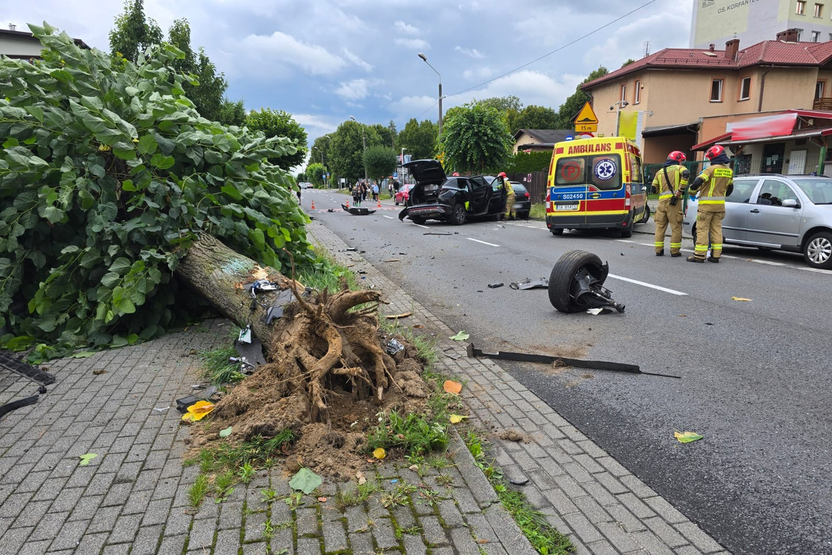 Samochód wyrwał drzewo na Osińskiej w Żorach - Drogówka