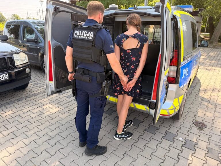 Postawiono zarzut matce po śmierci 4‑letniej dziewczynki - Drogówka