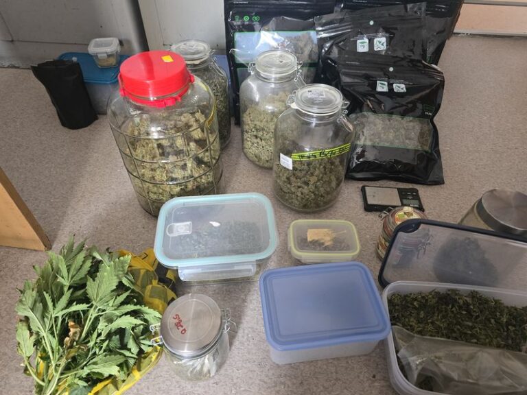 Policja przejęła 2,8 kg narkotyków w powiecie dzierżoniowskim - Kryminalne