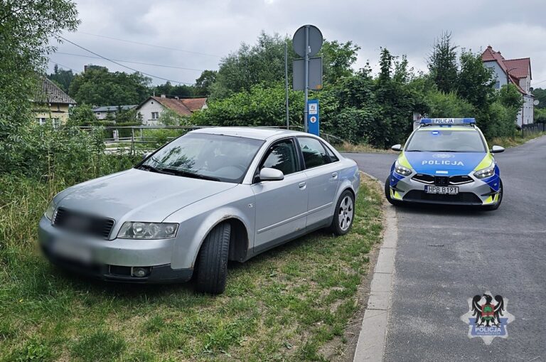 Zatrzymano dwóch kierowców z zakazami – jeden pod wpływem alkoholu - Drogówka