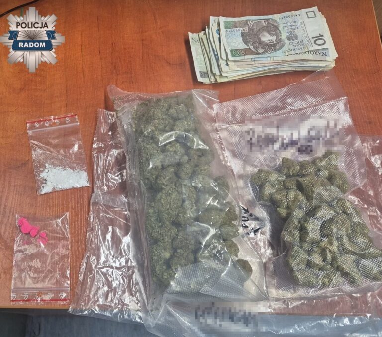 Policja w Radomiu zatrzymała 21-latkę z 150 g narkotyków - Drogówka