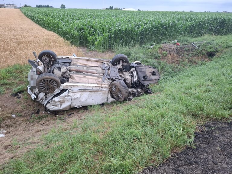 Ford dachował w Żerdzinach – zginął 28‑latak - Wypadki i Kolizje