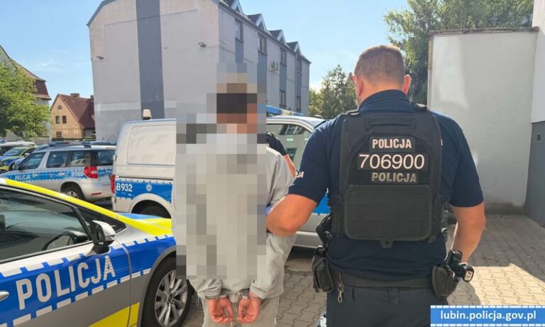 Złodziej z Lubina usłyszał 12 zarzutów i trafił do więzienia - Kradzieże