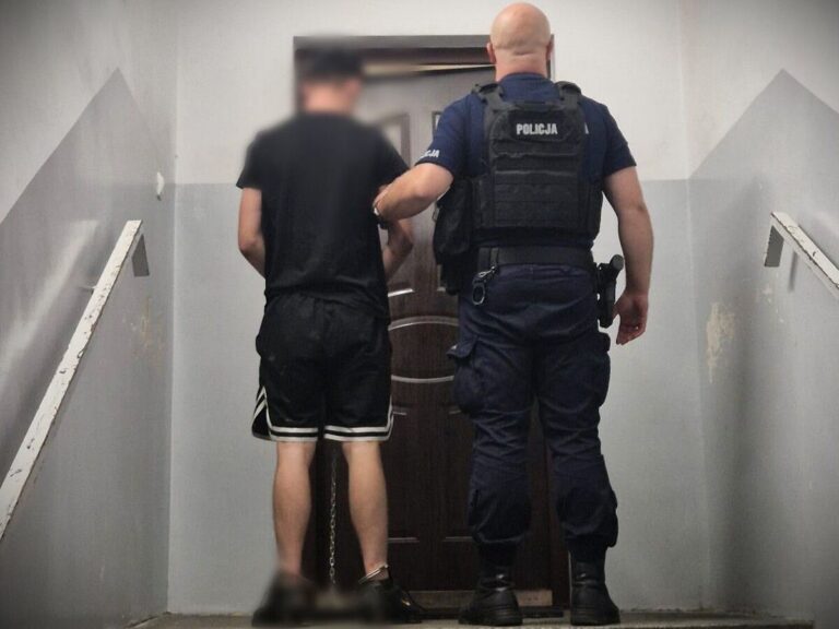 Zamaskowany z siekierą groził małżeństwu – areszt w wołowskim - Drogówka