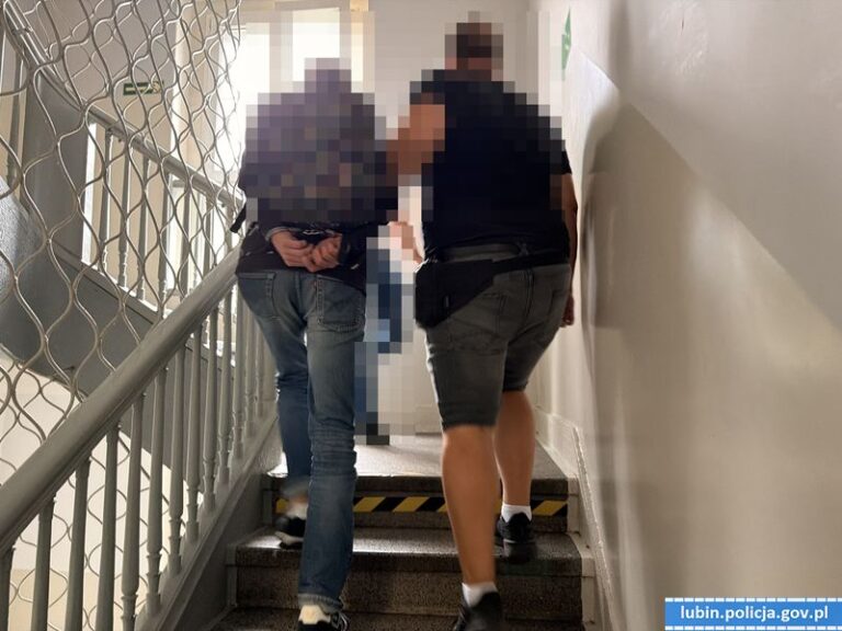 Policjanci schwycili ukrywających się w kanapie i garderobie - Akcje Służb