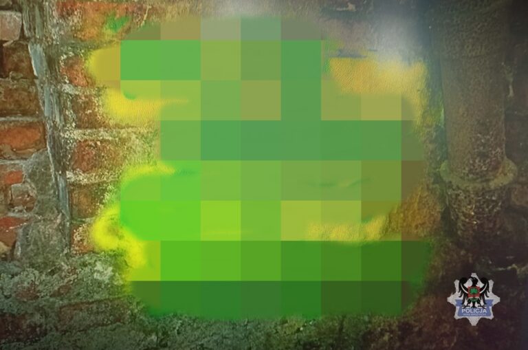 Zatrzymano dwie osoby za dewastację – grozi im do 5 lat - Drogówka