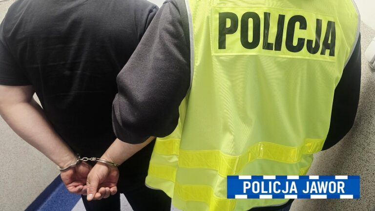 Taksówkarz ukradł lusterka – policja go zatrzymała - Drogówka