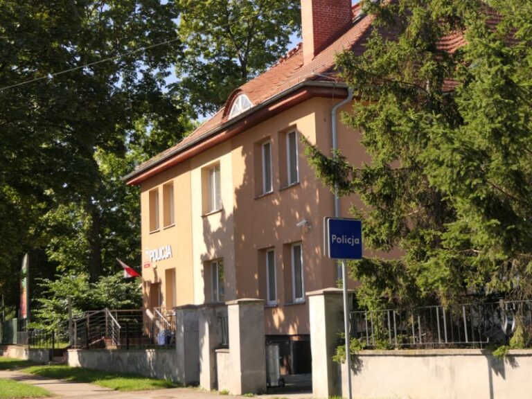 27-latek zatrzymany za serię kradzieży i przemoc wobec ochrony - Kradzieże