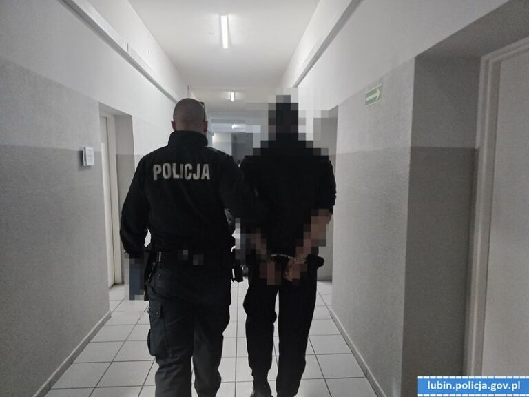 Mężczyzna otrzymał 11 zarzutów i trafił do aresztu - Akcje Służb