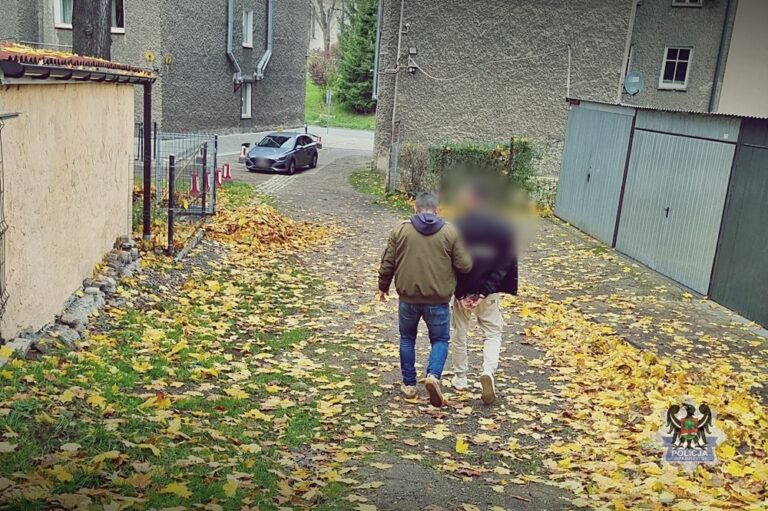Aresztowano trzech – dwóch w więzieniu, jeden wykupił - Drogówka